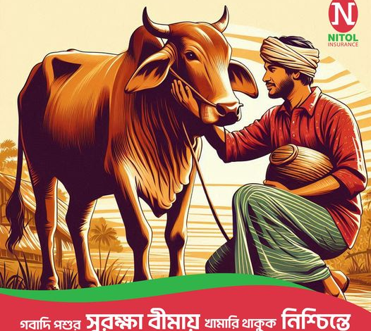 “নিটোল ইন্সুরেন্স কোম্পানি লিমিটেড” এর গবাদি পশু সুরক্ষা বীমা